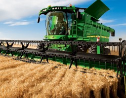 朱砂根的種植方法，選種、幼苗期管理、施肥、移栽、病蟲害防治